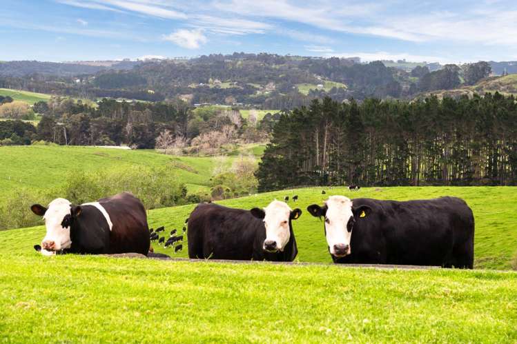 915 Old North Road Waimauku_4