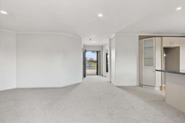 25 Nikau Place Matamata_1