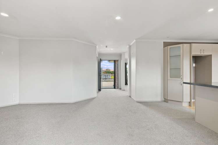 25 Nikau Place Matamata_1
