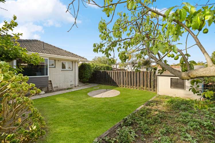 123 Mahoe Street Melville_26