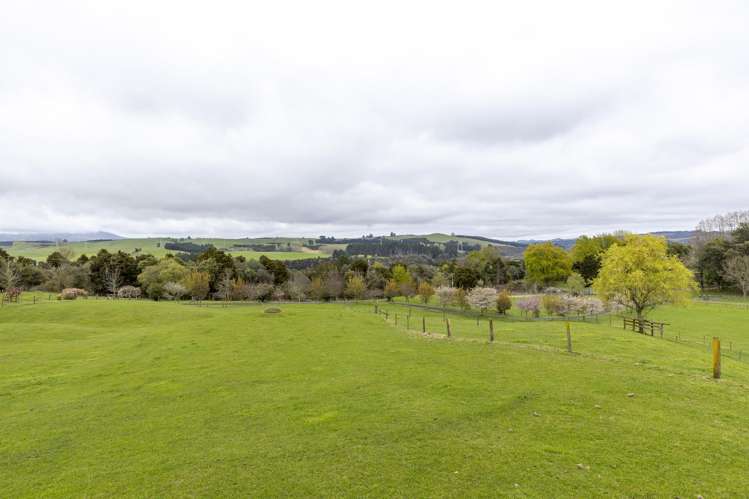 698 Aratiatia Road Wairakei_34