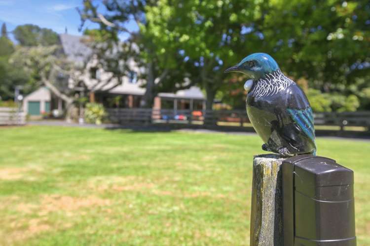 17 Ridgewood Drive Ridgewood_9