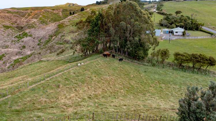 61 Kereru Road Glen Massey_34