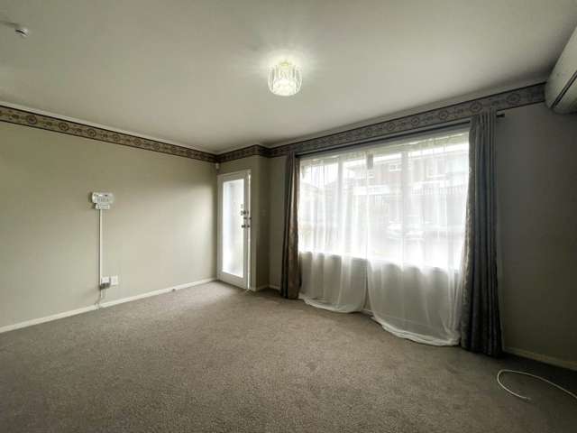 White Swan Road Mt Roskill_3