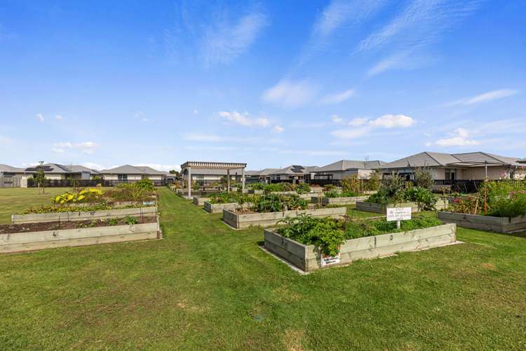 3 Crest Way Papamoa_17