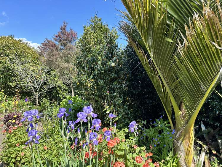 641 Thornton Road Thornton_20