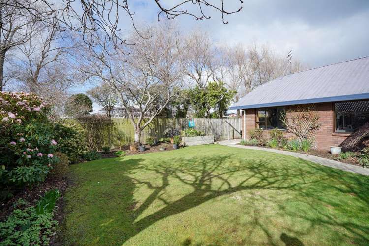 181 Ward Street Hargest_26