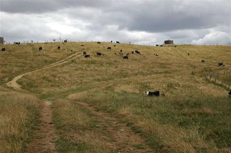 Waiti Road Tahuna_20