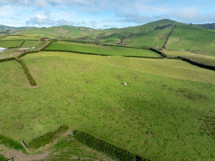 376 Starkey Road Morrinsville_16