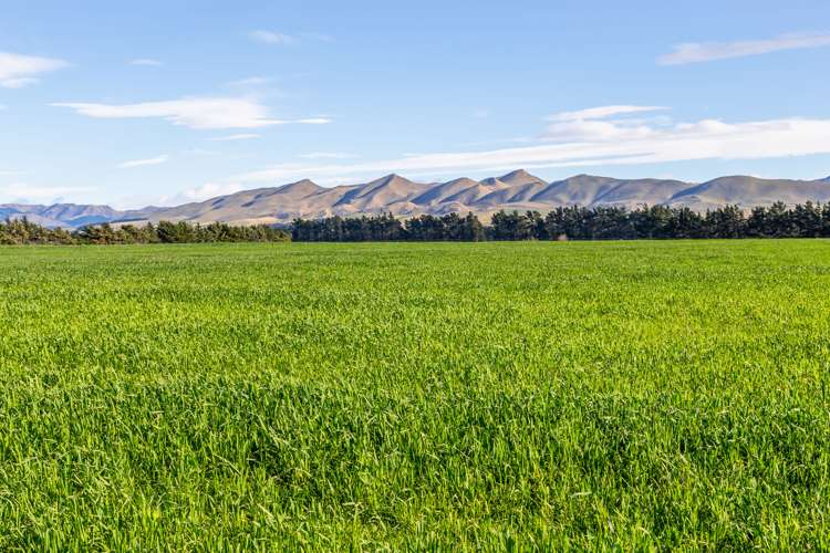 380 Waipara Flat Road Waipara_9