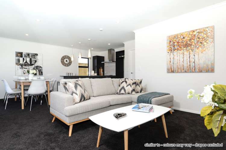 69 Belmont Road Pukekohe_5