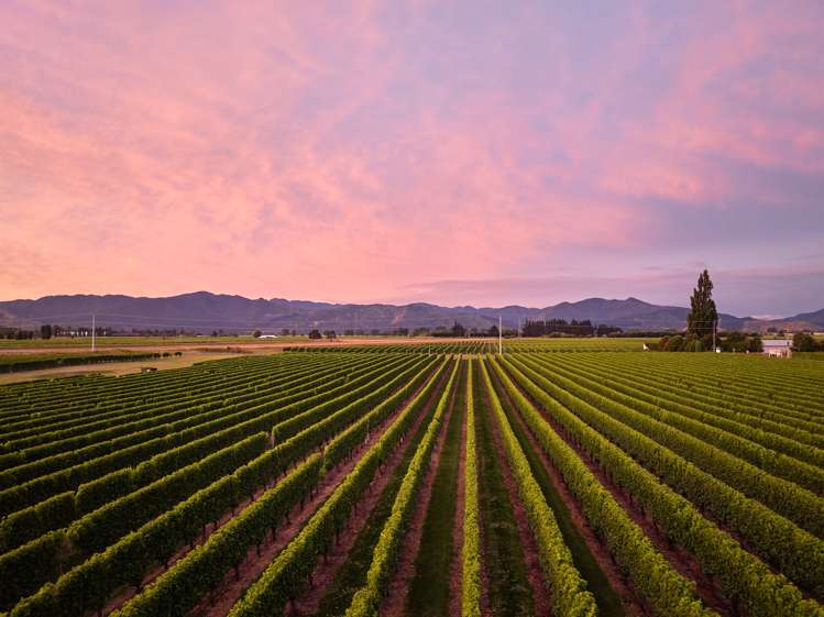 22 Burnside Avenue Springlands_5