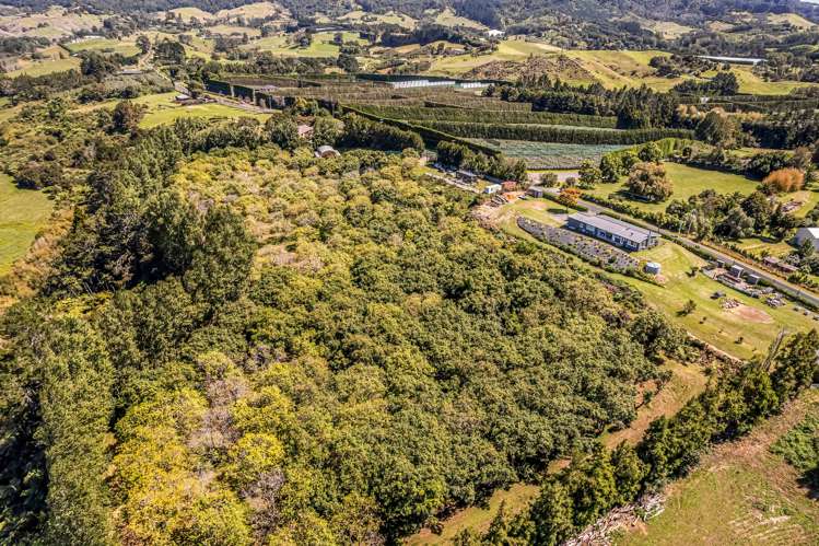 49 Lindemann Road Katikati_4