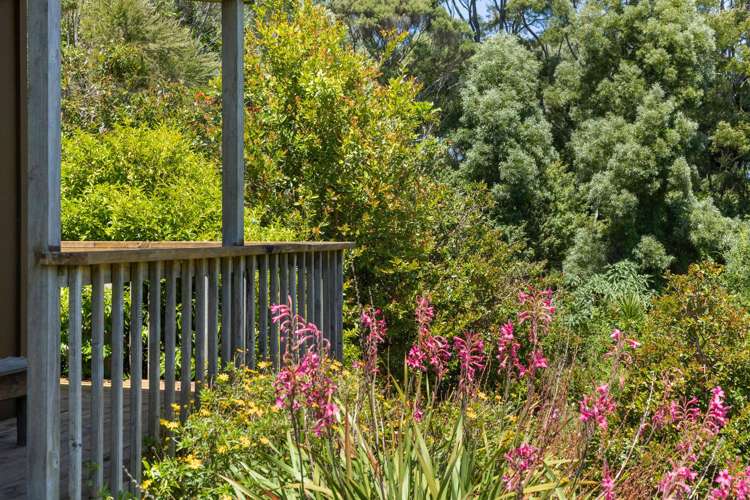 Arawhata Road Kaingaroa_24