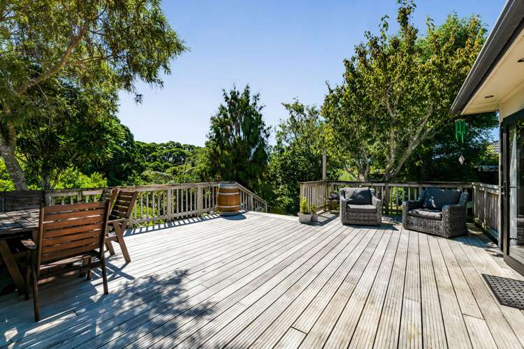 11 Lynton Street Upper Vogeltown_16