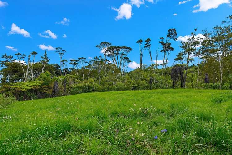 5 A, B, C Chatham Avenue Paremoremo_18