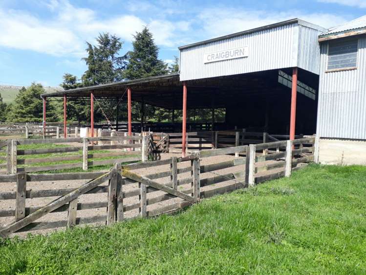 144 Tokarahi-Duntroon Road Five Forks and Surrounds_9