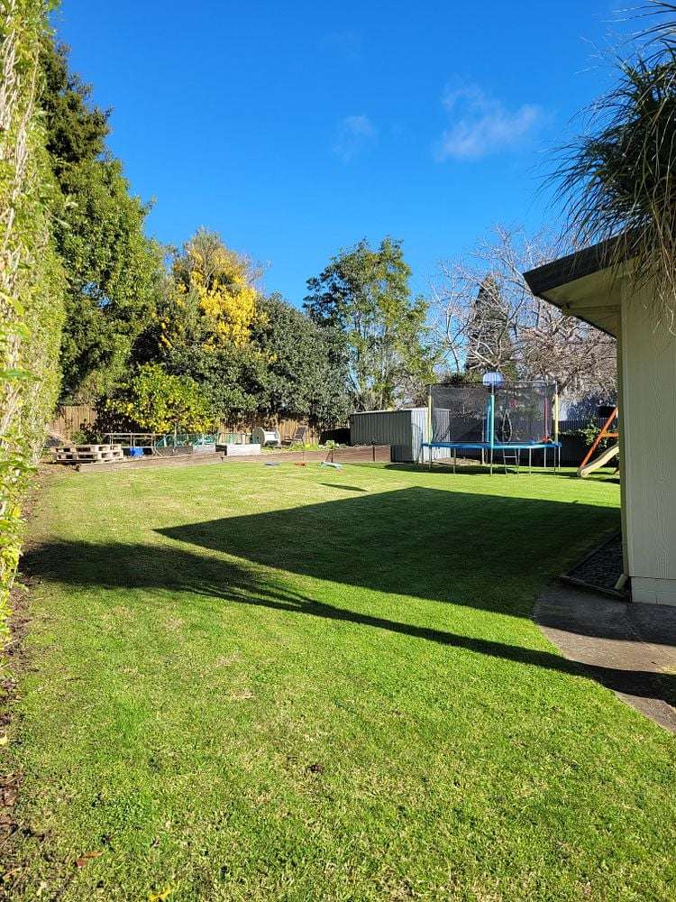 42 Lee Street Te Puke_6