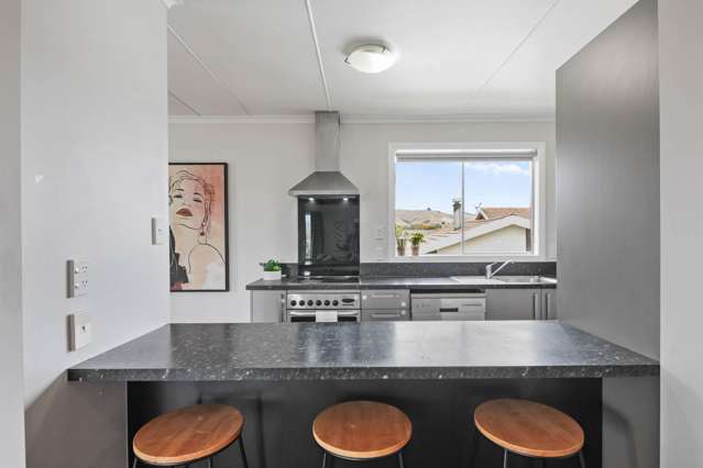 2A Hale Street Blenheim_2