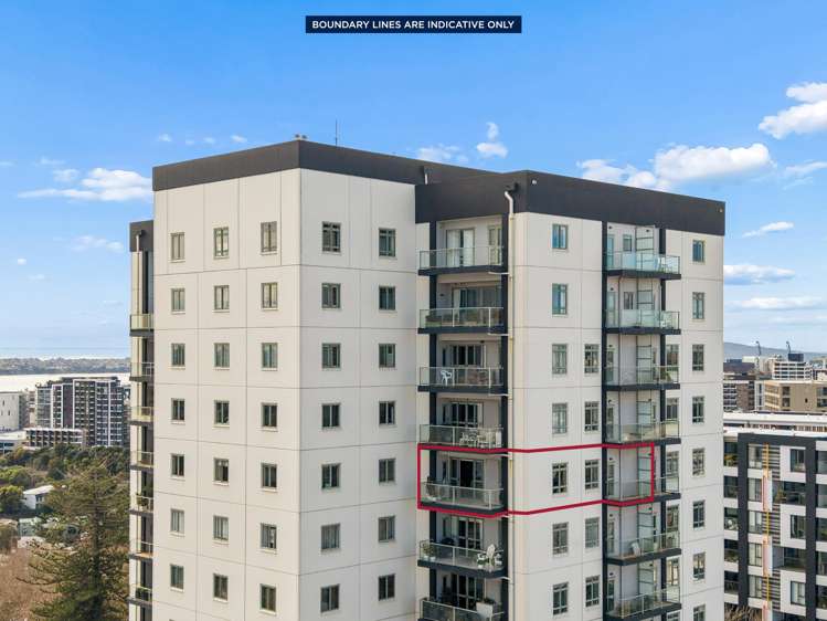 8E and 8F/8 Howe Street Freemans Bay_12