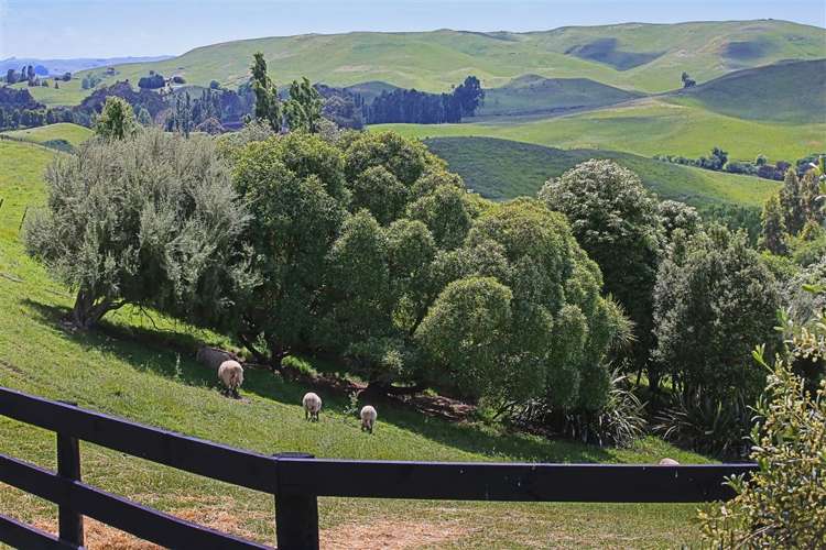 615 Matapiro Road Crownthorpe_13