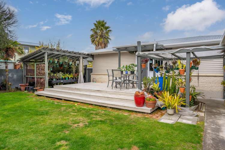 36 Southwark Avenue Tamatea_11