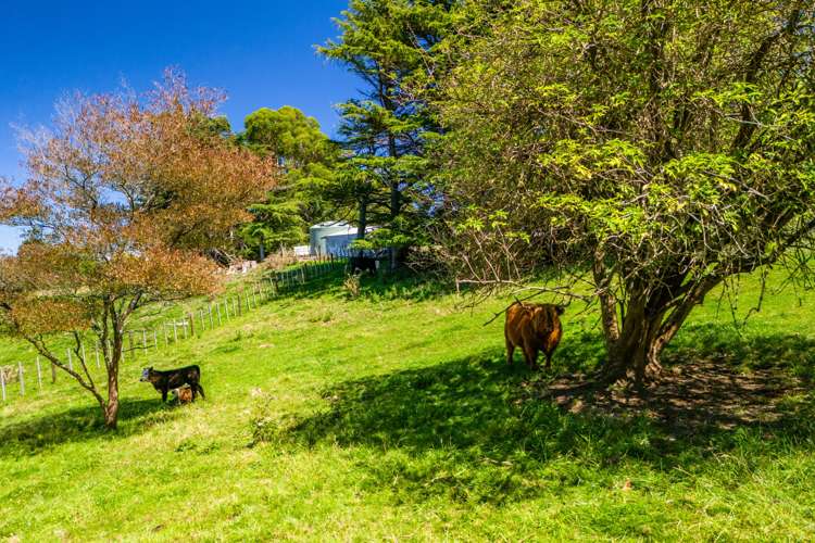 573a Whakapirau Road Maraekakaho_24