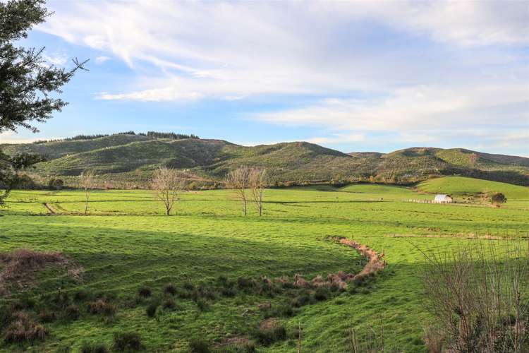 52 Kopuku Road Waerenga_3