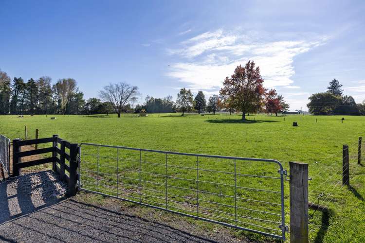 16 Mill Road Ohaupo_14