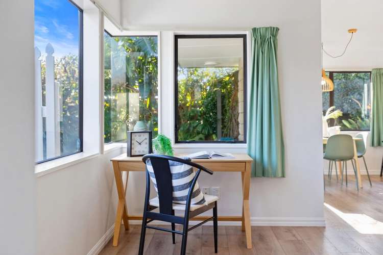 40b Hibiscus Avenue Mount Maunganui_7