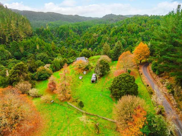 2005 Ongarue Stream Road Waimiha_2