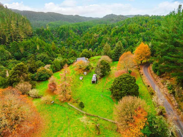 2005 Ongarue Stream Road_2