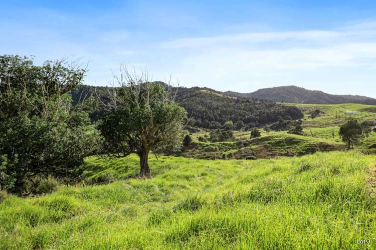 Lots 1&3/101 Brooklands Way Kaiwaka_8