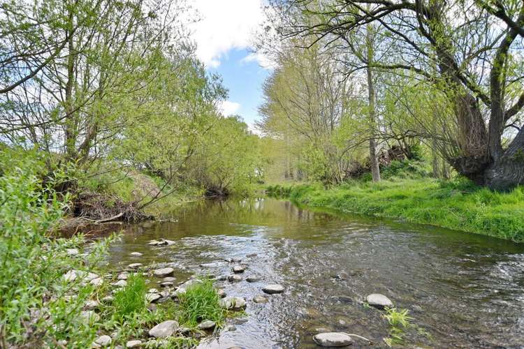 444 Boundary Road Swannanoa_12