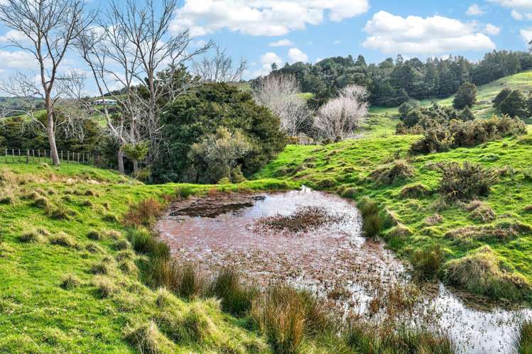 63 Porter Road Paparoa_28