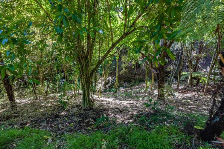 23 Te Aroha Ave Oneroa_2