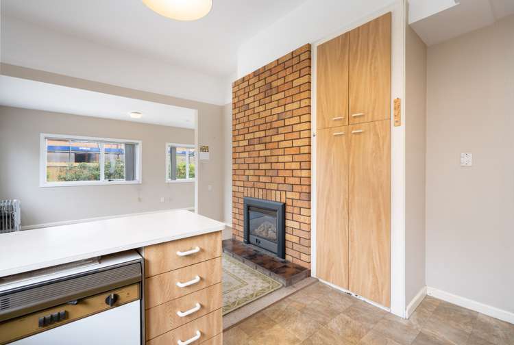 44 Hastings Street West Sydenham_12