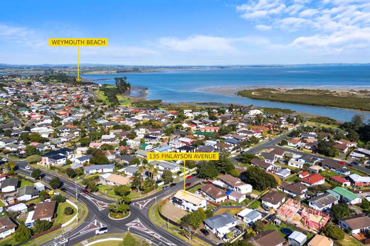 135 Finlayson Avenue Clendon Park_13