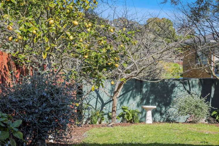 1/41 Matuhi Rise Henderson_27