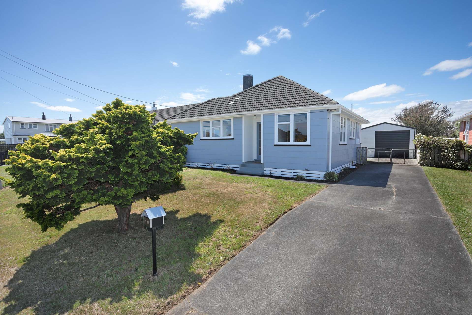 16 Kittyhawk Row Bulls_0