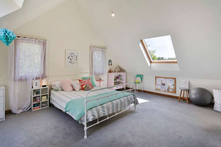 1 Tanekaha Road Titirangi_13