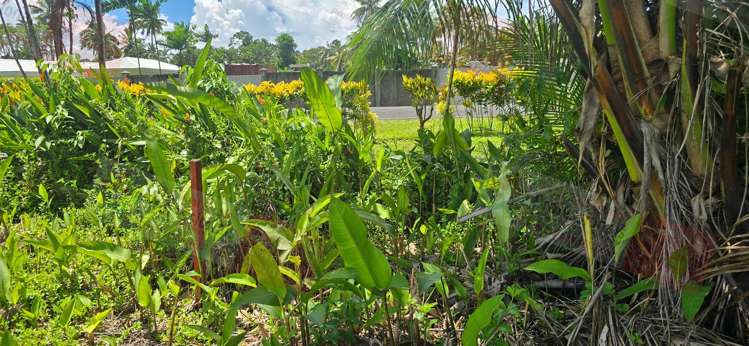 Address withheld Pacific Harbour_9