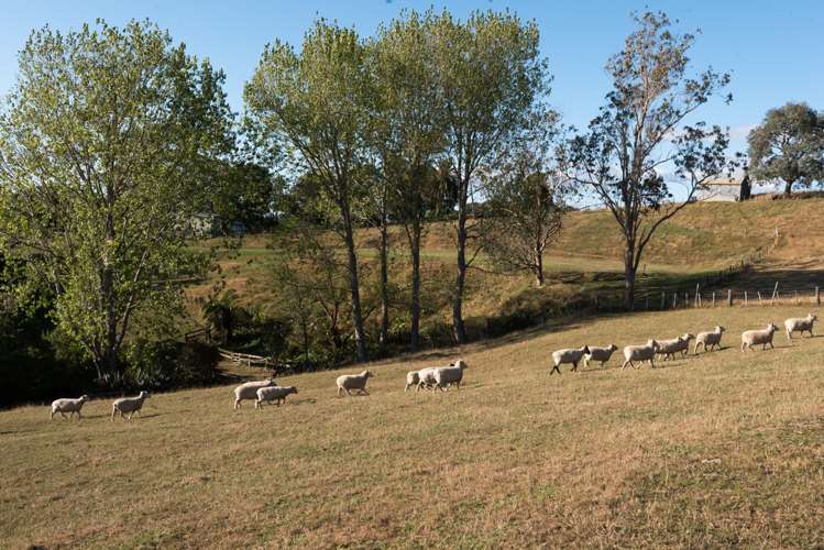 371 Drury Hills Road Drury_18