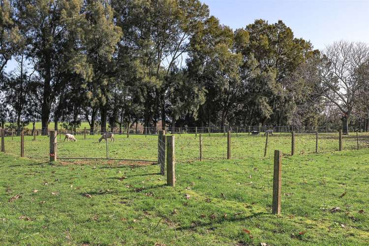 78 Mellon Road Te Aroha_18