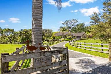 90 Kawakawa-Orere Road_1