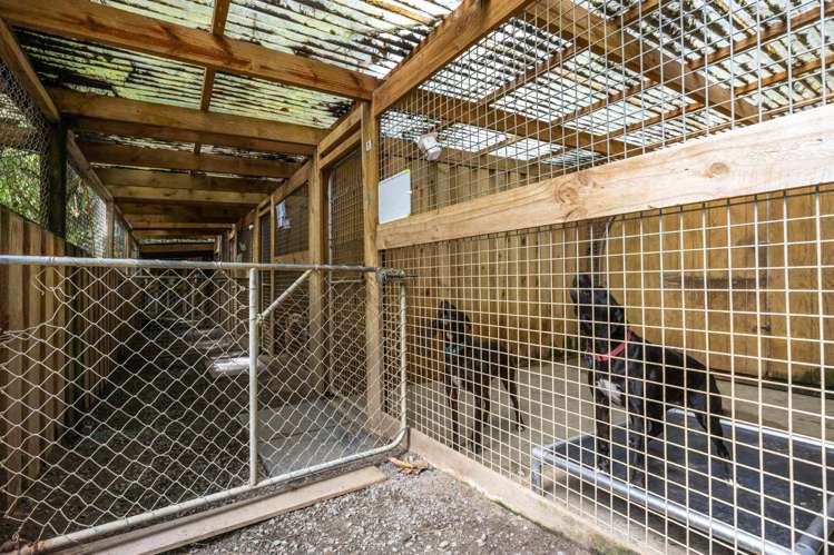 2 Cowan Bay Road Warkworth_42