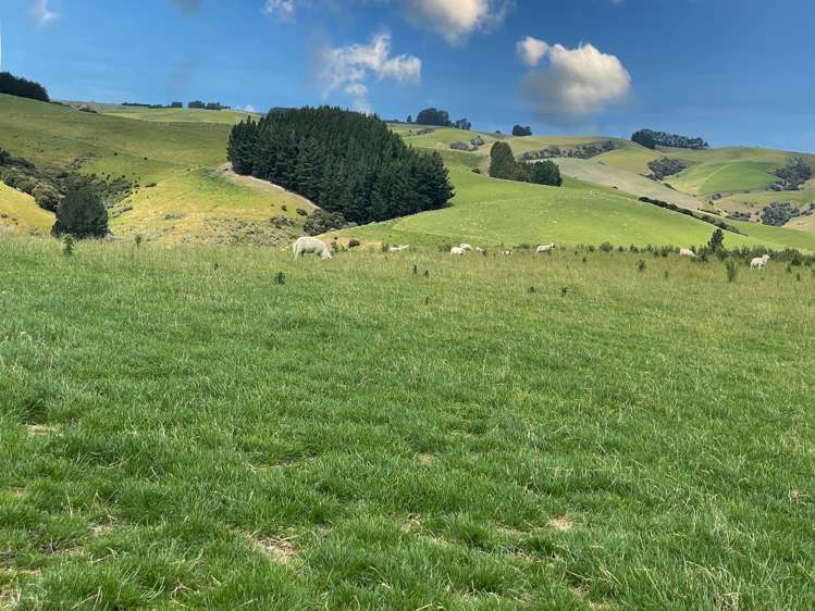 1043 Breakneck Road Lawrence_6