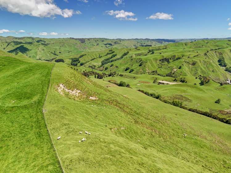 34 O’Neills Road Kakatahi_25