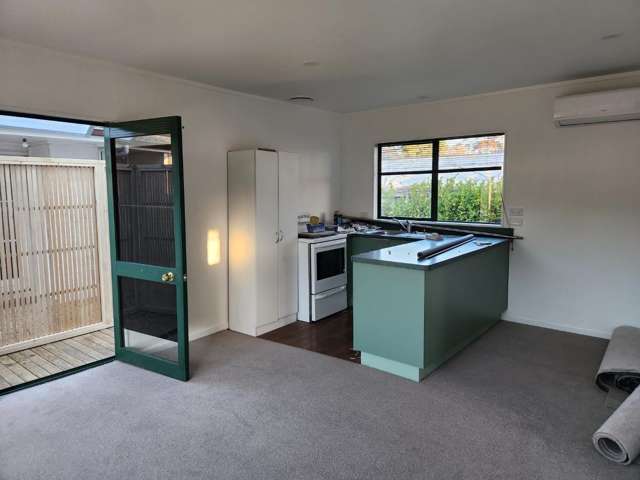 54B Kowhai Street Hamilton Lake_1