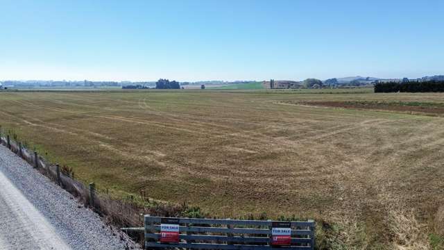 62D Springfield Road Totara_1